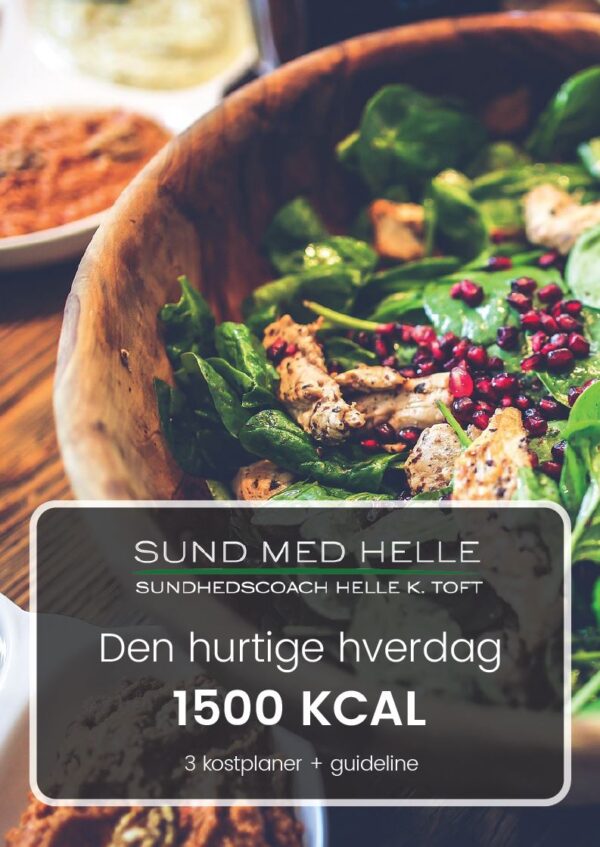 Den hurtige hverdag 1500kcal kostplaner